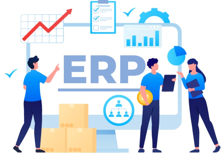 ERP Development