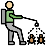 Pest Control Services