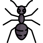 Ants