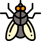 Flies