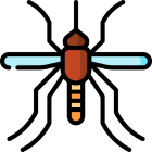 Mosquitoes